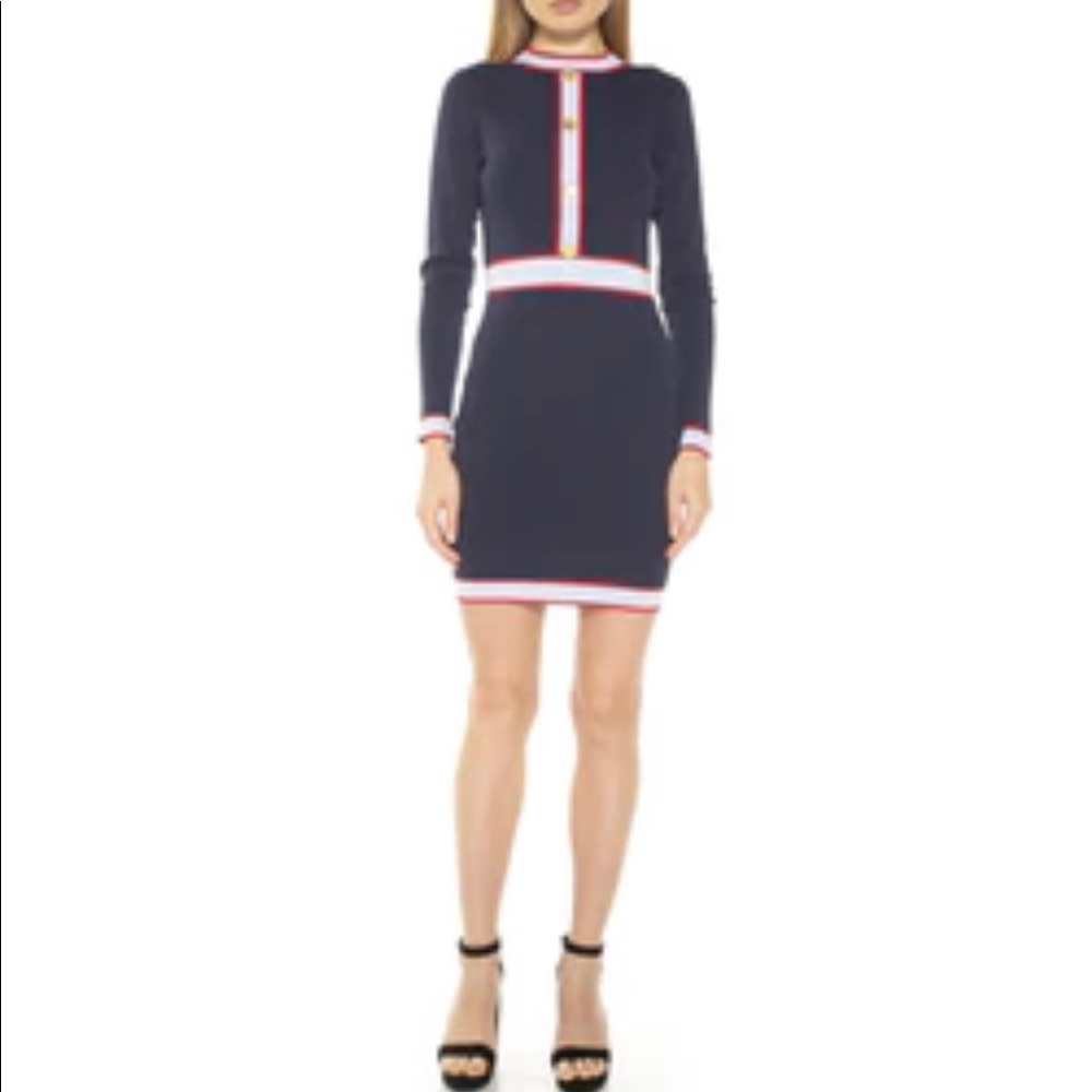 Alexia Admor Betty color block knit dress
